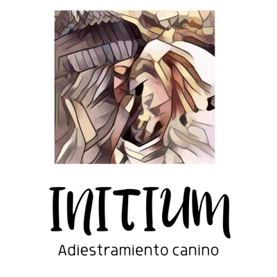 initium_violeta_fernandez_cm